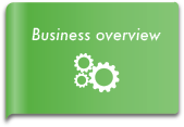 Business overview