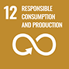 12 PESPONSIBLE CONSUMPTION AND PRODUCTION